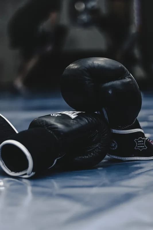MMA and boxing training at Evolution Gym